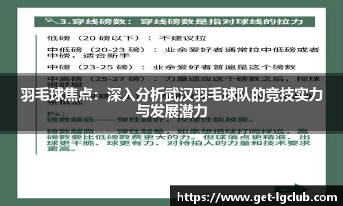 羽毛球焦点:深入分析武汉羽毛球队的竞技实力与发展潜力